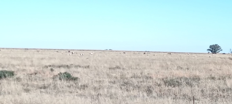 5 Bedroom Property for Sale in Edenburg Free State